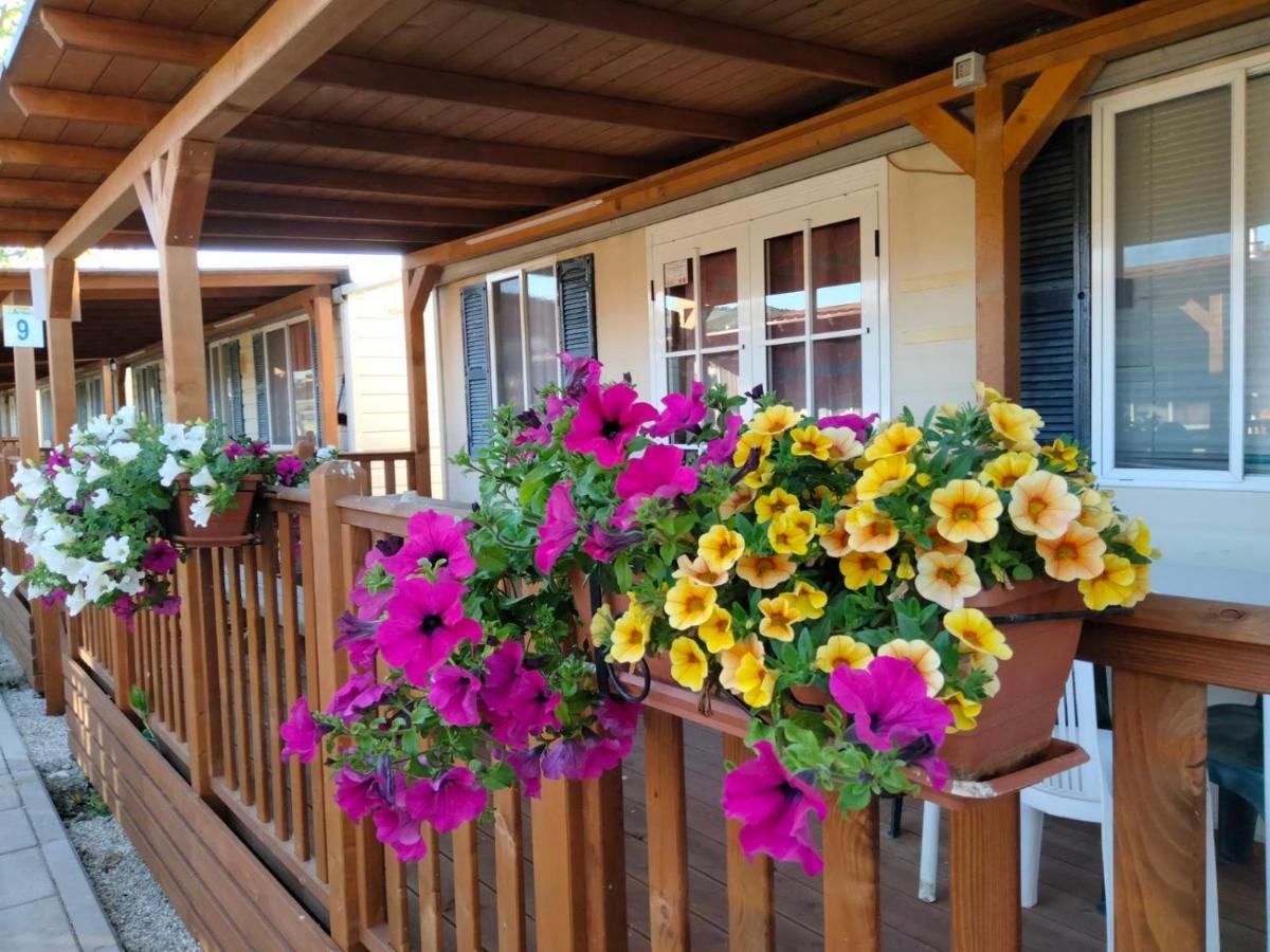 Villaggio Degli Angeli Scerne Pineto Zewnętrze zdjęcie